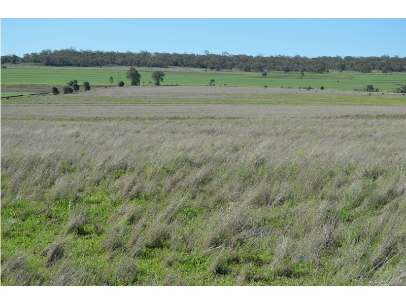 104 Ted Mengel Road, Felton QLD 4358