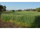 1042 Stoneleigh Road, Stoneleigh QLD 4356