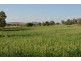 1042 Stoneleigh Road, Stoneleigh QLD 4356