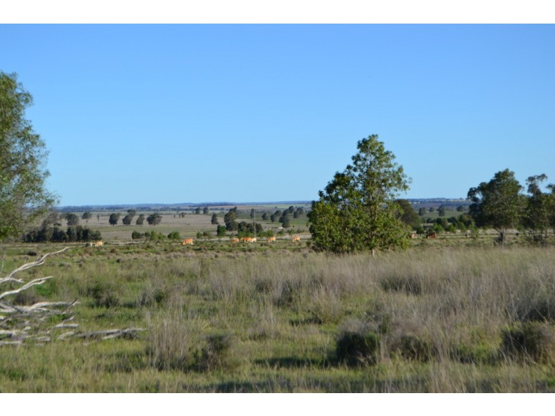 1731 Old Rosevale Road, Jandowae QLD 4410