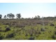 1731 Old Rosevale Road, Jandowae QLD 4410