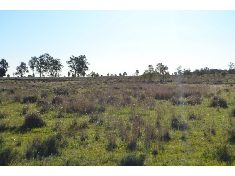 1731 Old Rosevale Road, Jandowae QLD 4410