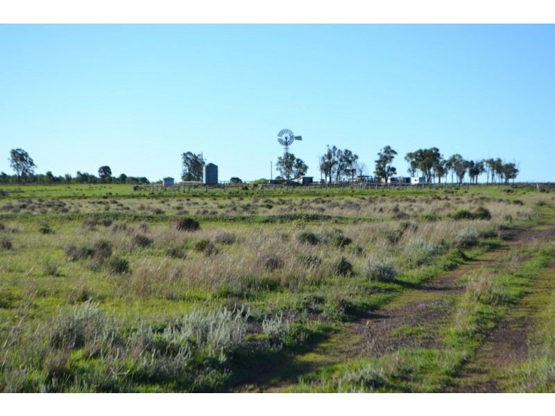 1731 Old Rosevale Road, Jandowae QLD 4410