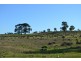 1731 Old Rosevale Road, Jandowae QLD 4410