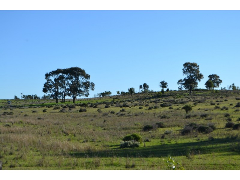 1731 Old Rosevale Road, Jandowae QLD 4410