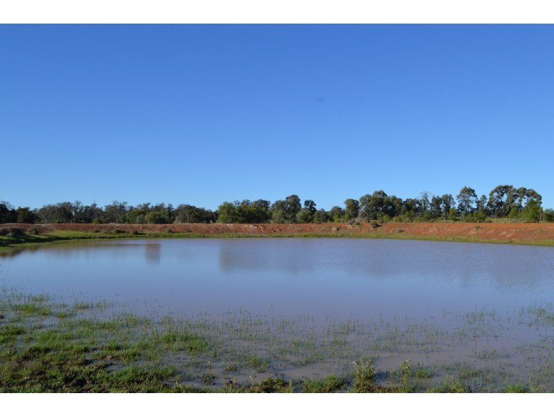1731 Old Rosevale Road, Jandowae QLD 4410
