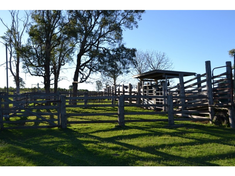 1731 Old Rosevale Road, Jandowae QLD 4410