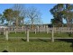 1731 Old Rosevale Road, Jandowae QLD 4410