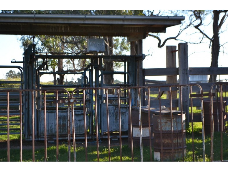 1731 Old Rosevale Road, Jandowae QLD 4410