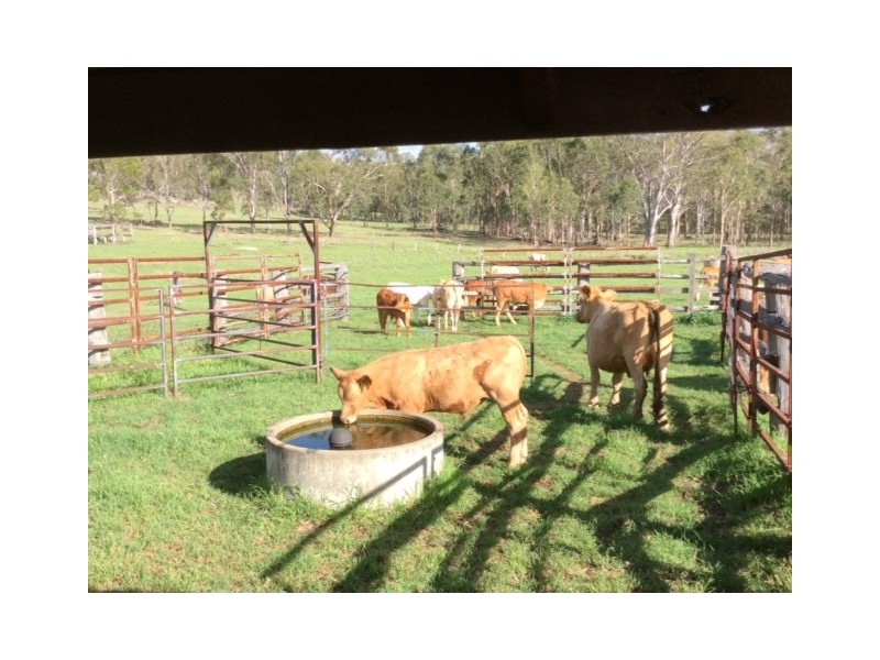 312 Maidenwell Upper Yarraman Road, Maidenwell QLD 4615