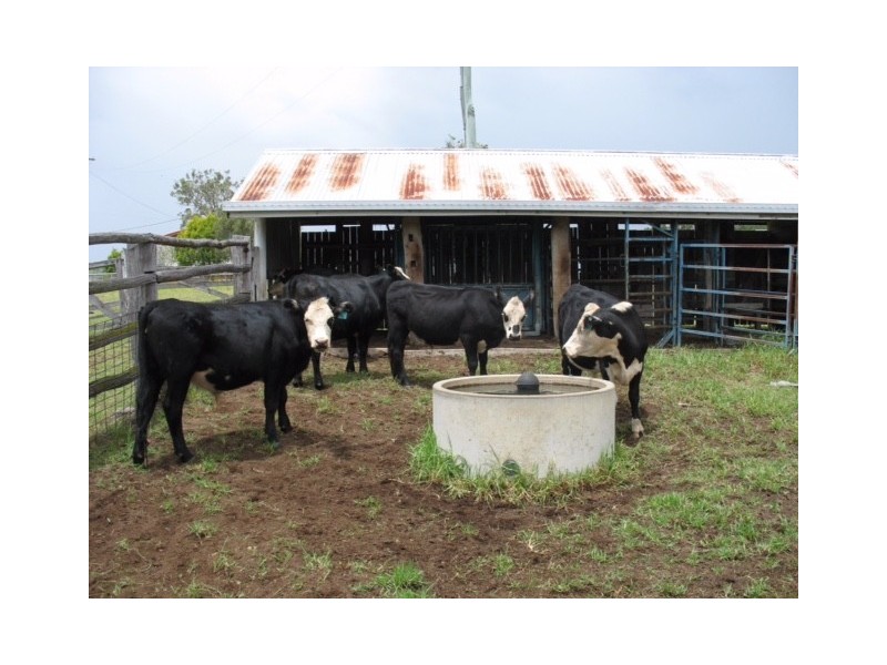 312 Maidenwell Upper Yarraman Road, Maidenwell QLD 4615