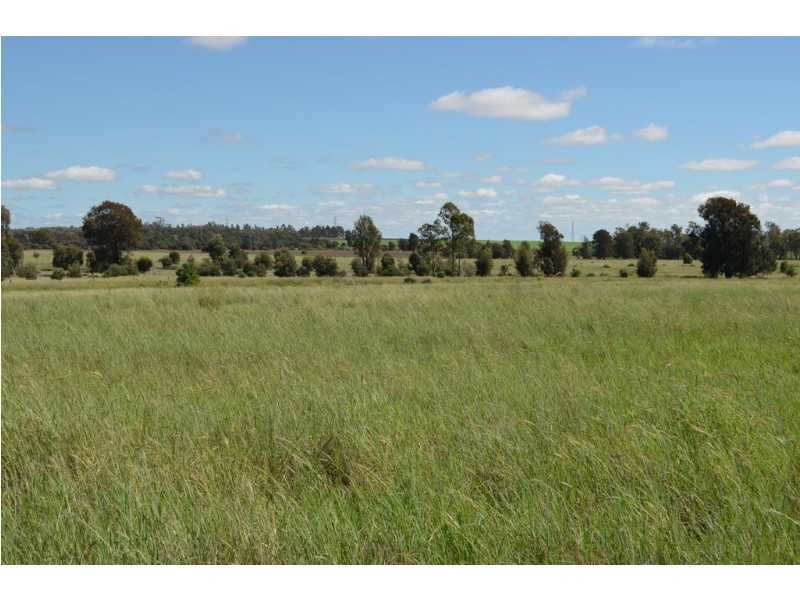 1158 Moffatt Reserve Rocky Creek Road, Grays Gate QLD 4357