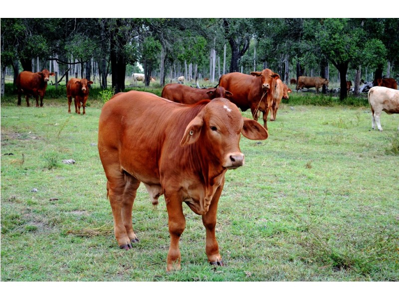 35 Haslingden Road, Atkinsons Dam QLD 4311