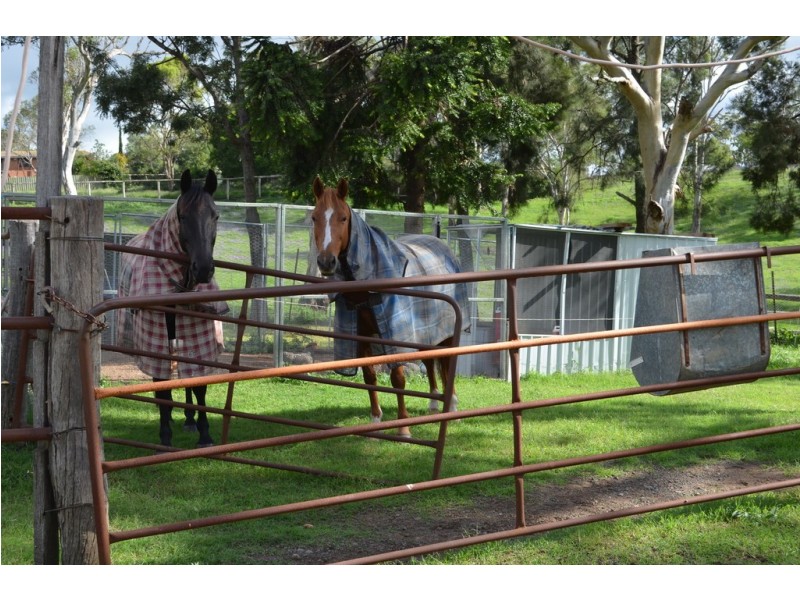 55-67 Greenwattle Street, Cranley QLD 4350