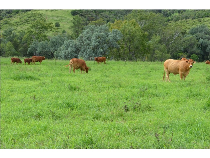 68 Stockyard Creek Road, Flagstone Creek QLD 4344