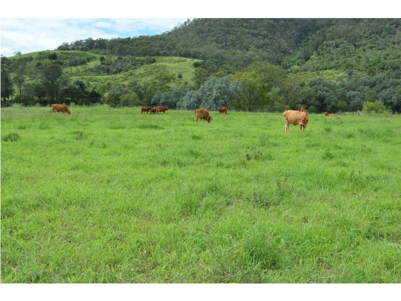 68 Stockyard Creek Road, Flagstone Creek QLD 4344