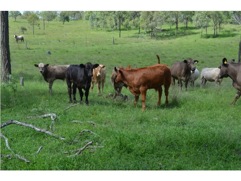 Lot 519 Reushle Road, Kleinton QLD 4352