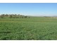 766 Umbiram Road, Umbiram QLD 4352