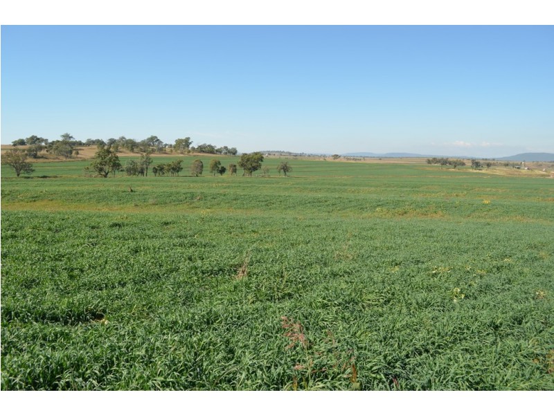 766 Umbiram Road, Umbiram QLD 4352