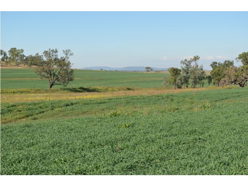 766 Umbiram Road, Umbiram QLD 4352