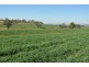 766 Umbiram Road, Umbiram QLD 4352