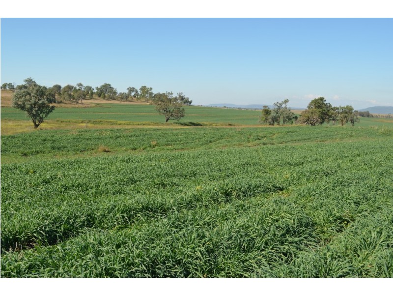 766 Umbiram Road, Umbiram QLD 4352