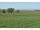766 Umbiram Road, Umbiram QLD 4352