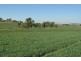 766 Umbiram Road, Umbiram QLD 4352