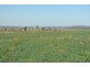 766 Umbiram Road, Umbiram QLD 4352
