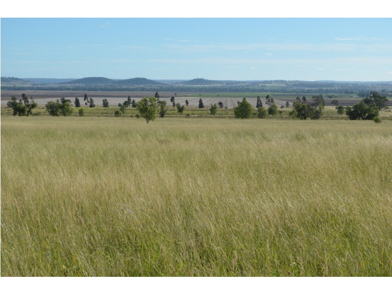 875 Oakey Cutella Road, Cutella QLD 4352