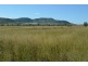 875 Oakey Cutella Road, Cutella QLD 4352