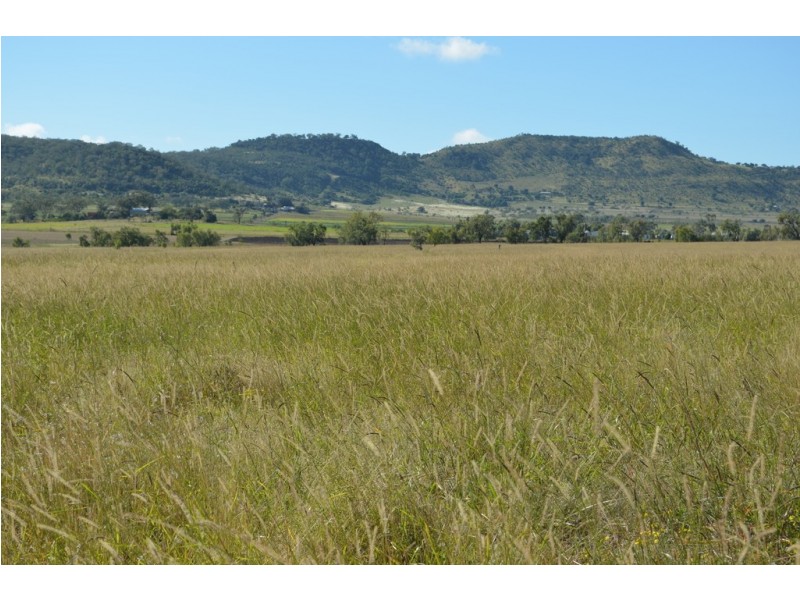 875 Oakey Cutella Road, Cutella QLD 4352