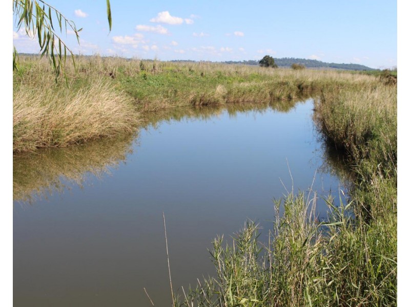 Lot 7 Henningsen Road, Oakey QLD 4401