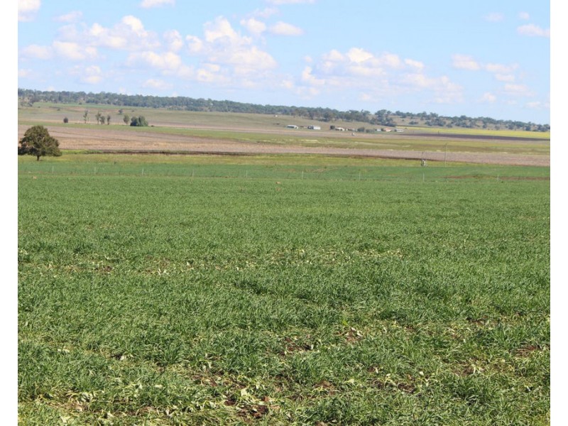 Lot 7 Henningsen Road, Oakey QLD 4401