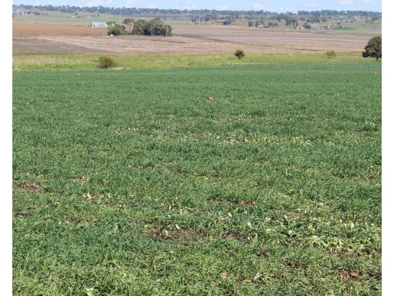 Lot 7 Henningsen Road, Oakey QLD 4401