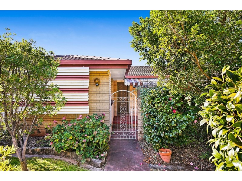 16 Raelyn Street, Centenary Heights QLD 4350