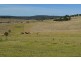 59 Thornville Range Road, Thornville QLD 4352