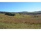 59 Thornville Range Road, Thornville QLD 4352