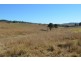 59 Thornville Range Road, Thornville QLD 4352