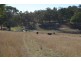 59 Thornville Range Road, Thornville QLD 4352