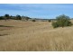 59 Thornville Range Road, Thornville QLD 4352