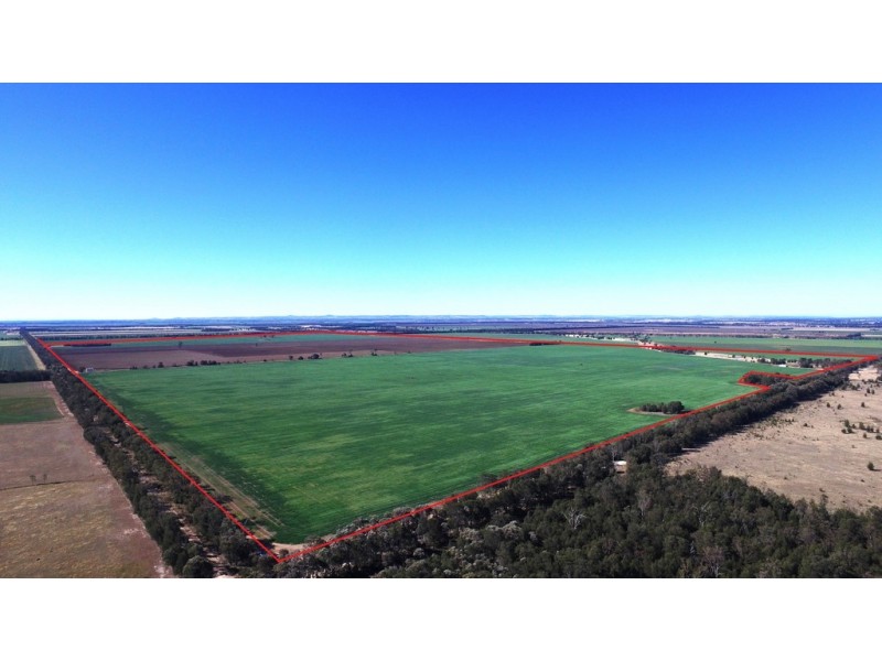 0 Campbells Road, Punchs Creek QLD 4357