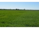 0 Campbells Road, Punchs Creek QLD 4357