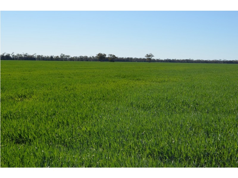 0 Campbells Road, Punchs Creek QLD 4357