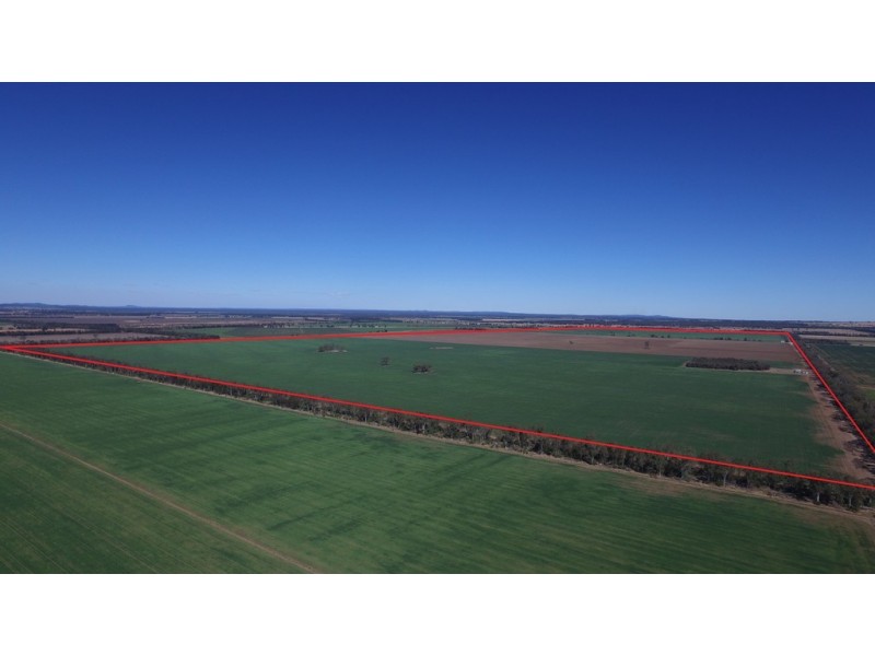 0 Campbells Road, Punchs Creek QLD 4357