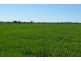 0 Campbells Road, Punchs Creek QLD 4357