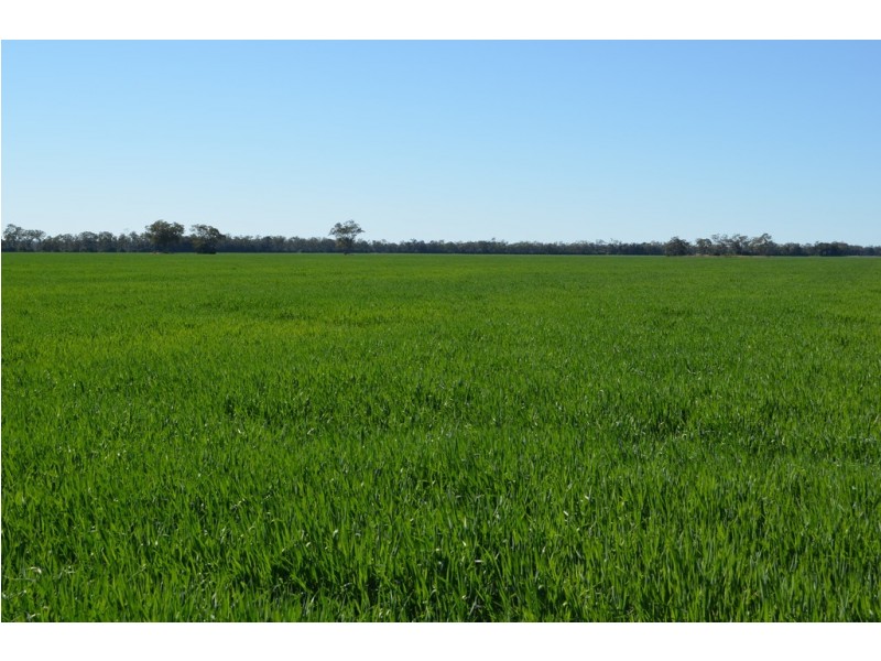 0 Campbells Road, Punchs Creek QLD 4357