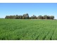 0 Campbells Road, Punchs Creek QLD 4357
