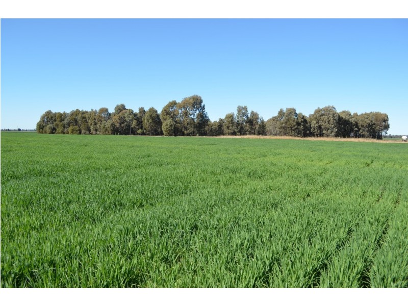 0 Campbells Road, Punchs Creek QLD 4357