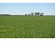 0 Campbells Road, Punchs Creek QLD 4357